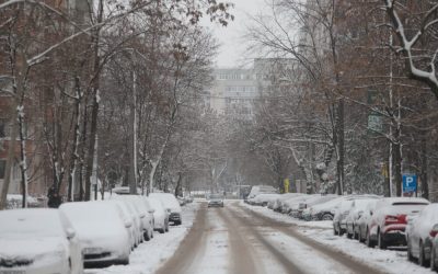 ID330609_INQUAM_Photos_George_Calin-1000x667.jpg - StiriAlese