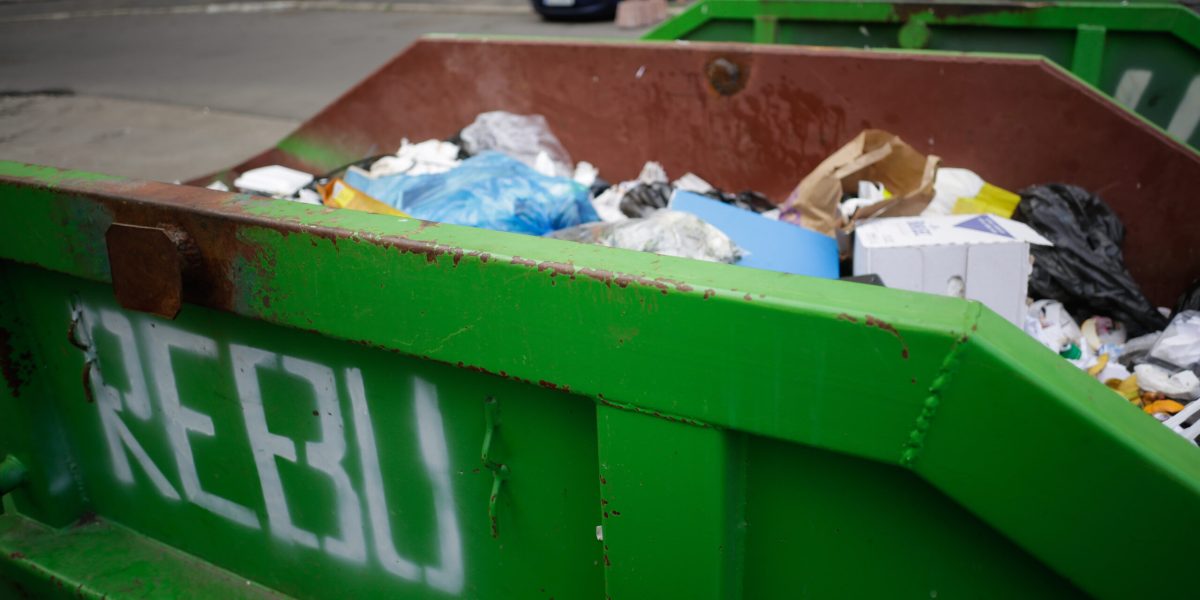 ID65550_INQUAM_Photos_George_Calin-scaled.jpg - StiriAlese