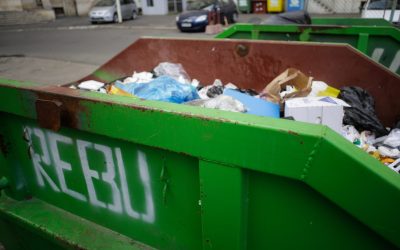 ID65550_INQUAM_Photos_George_Calin-scaled.jpg - StiriAlese