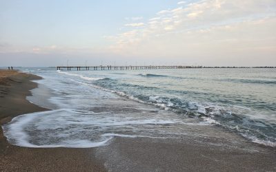 IMG-20251109-WA0019.jpg - StiriAlese