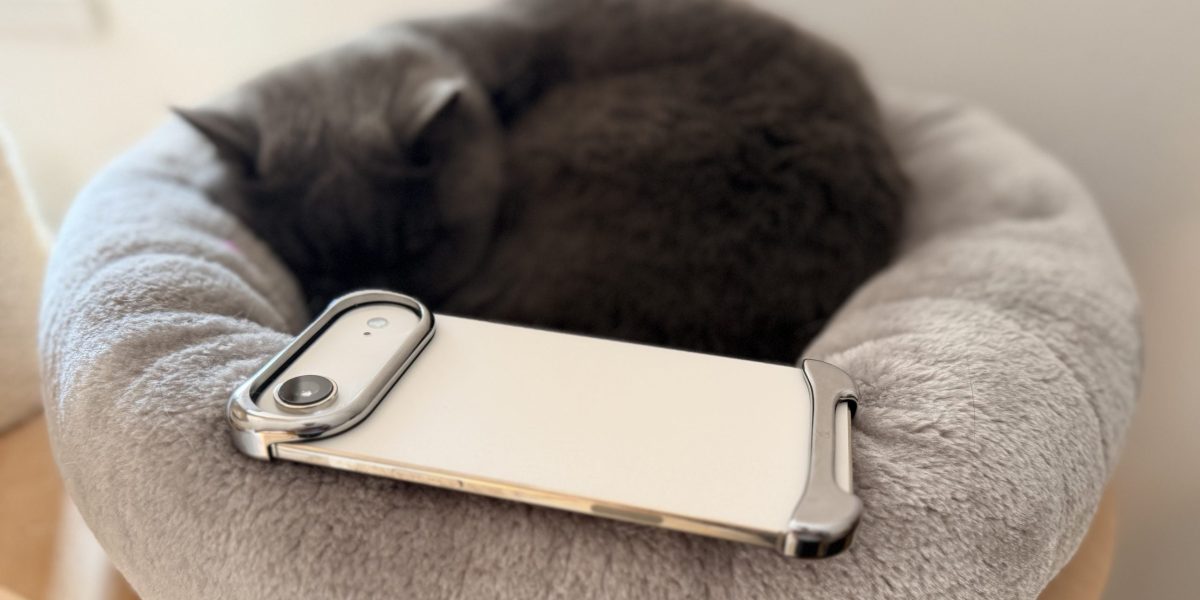 IMG_0619-scaled.jpeg - StiriAlese