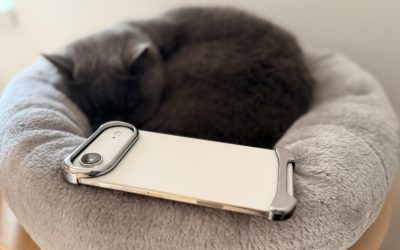 IMG_0619-scaled.jpeg - StiriAlese