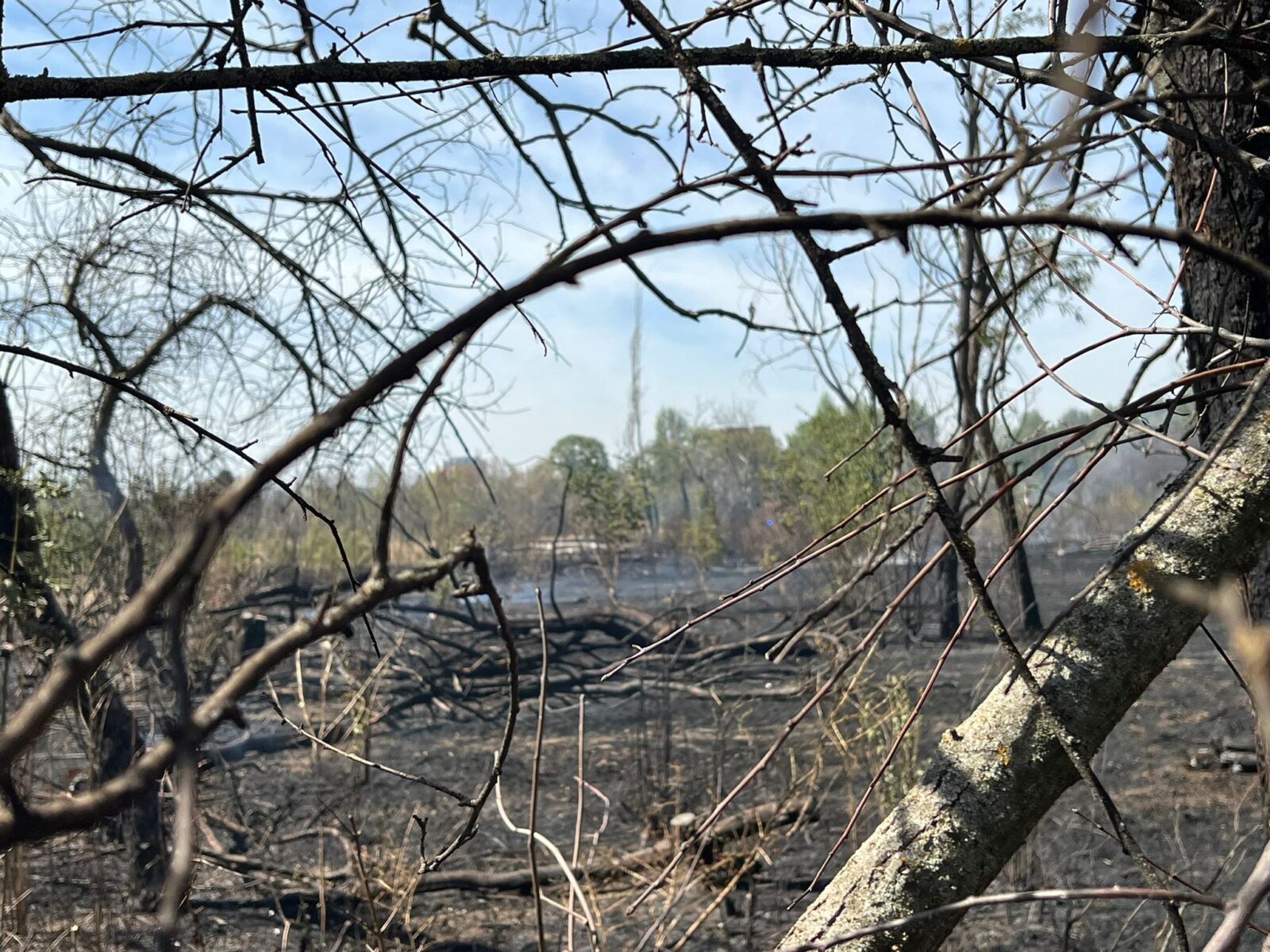 Procesul de contestare a retrocedării a fost reluat în mod oficial, după ce instanțele au decis să repună pe rol cazul privind cele 12 hectare din Parcul IOR