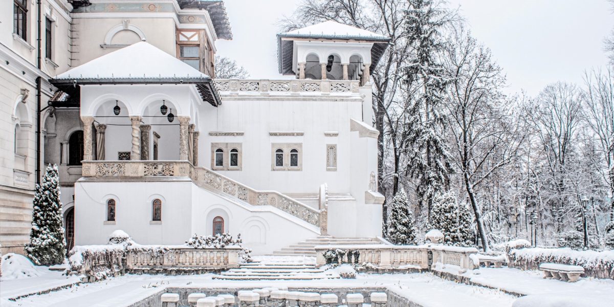 MNC_iarna.jpg - StiriAlese