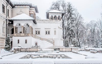 MNC_iarna.jpg - StiriAlese