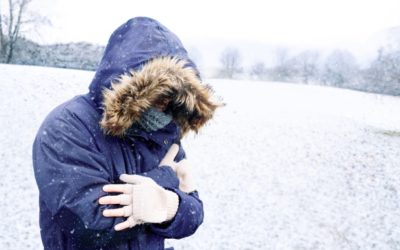 MTc0YTAzNTk0YzIwZTA3MDNmZjFiYzU2NTY0M2Vm.thumb_.jpg - StiriAlese