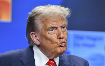 NATO_CONFERINTE_SUA_ROU_79_INQUAM_Photos_Eduard_Vinatoru.jpg - StiriAlese