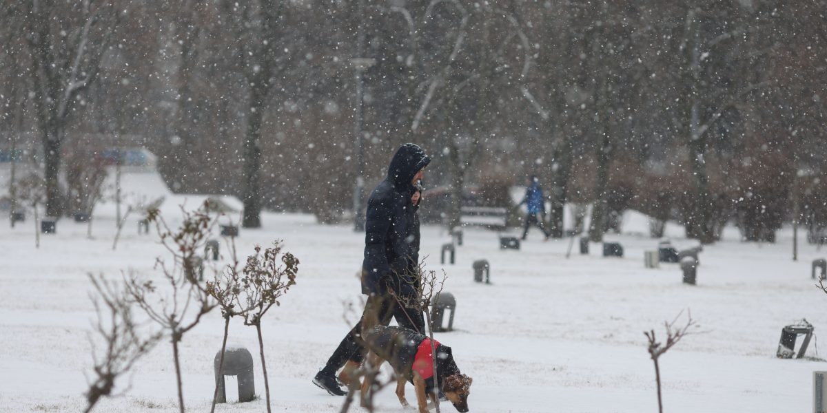 Ninsoare-in-Bucuresti-parcul-IOR.jpg - StiriAlese