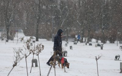Ninsoare-in-Bucuresti-parcul-IOR.jpg - StiriAlese