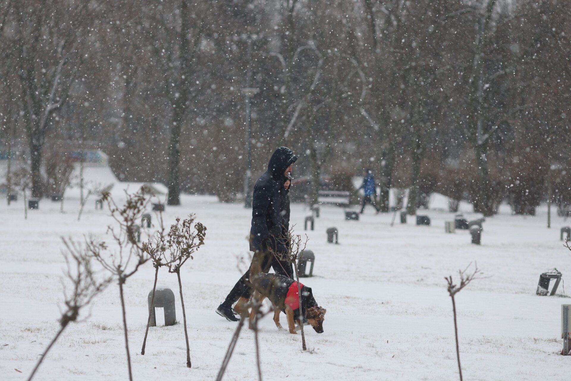 Cod galben de ninsori și viscol în România Administrația Națională de Meteorologie (ANM) a emis duminică un cod galben de ninsori, lapoviță și ploi, valabil până marți dimineață pentru cea mai mare parte a țării