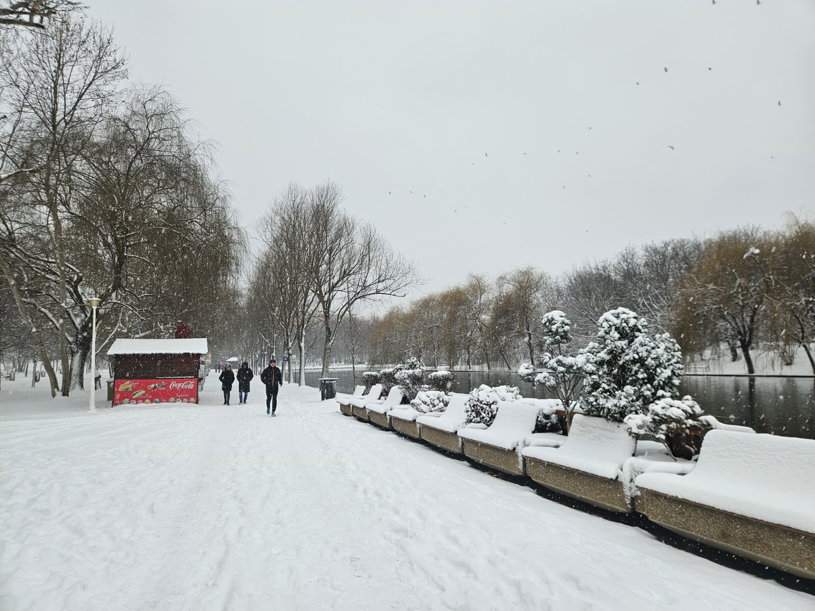 Ninsori în București. La cât ajunge stratul de zăpadă și cum arată prognoza meteo pentru luni
