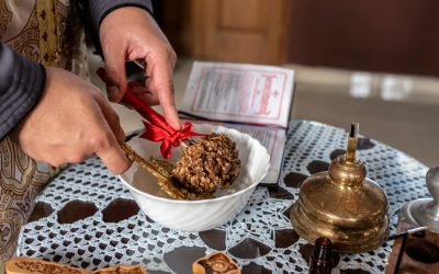 NmM3YzZhN2U4NWFjZmFmNjZhZGE2OTVkYzBmZTRlMjQ.thumb_.jpg - StiriAlese