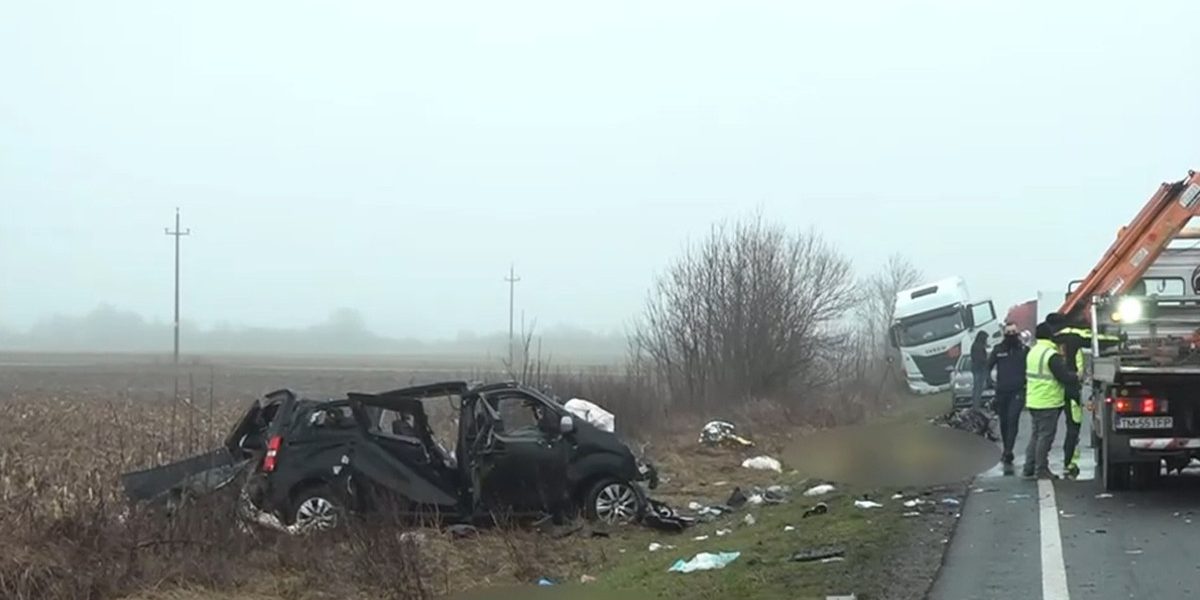 OGMxY2M5NGY4M2MxYjU5M2M4ZDQxYTZiYmEw.thumb_.jpg - StiriAlese