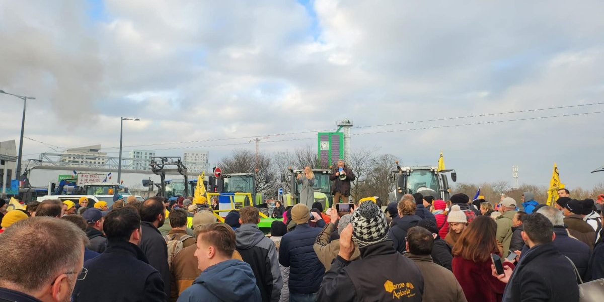 OTg5YTk4MmJmOTcxMGFkZDNmOTE3ODM2NTJjZg.thumb_.jpg - StiriAlese