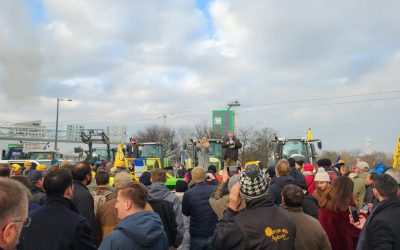 OTg5YTk4MmJmOTcxMGFkZDNmOTE3ODM2NTJjZg.thumb_.jpg - StiriAlese