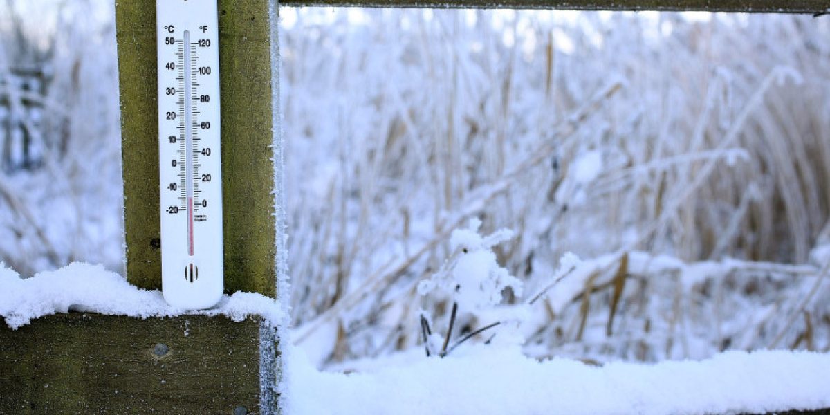 PTYzMCZ6Yz0xJmhhc2g9ZGJmNDVhNzE3MWJjNmQ0N2RiNTUwZTYwMWY5YzdlOTM.thumb_.jpg - StiriAlese