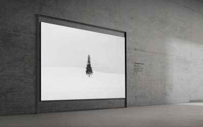 Samsung-TVs-and-Displays-Samsung-Micro-RGB-TV_2.jpg - StiriAlese