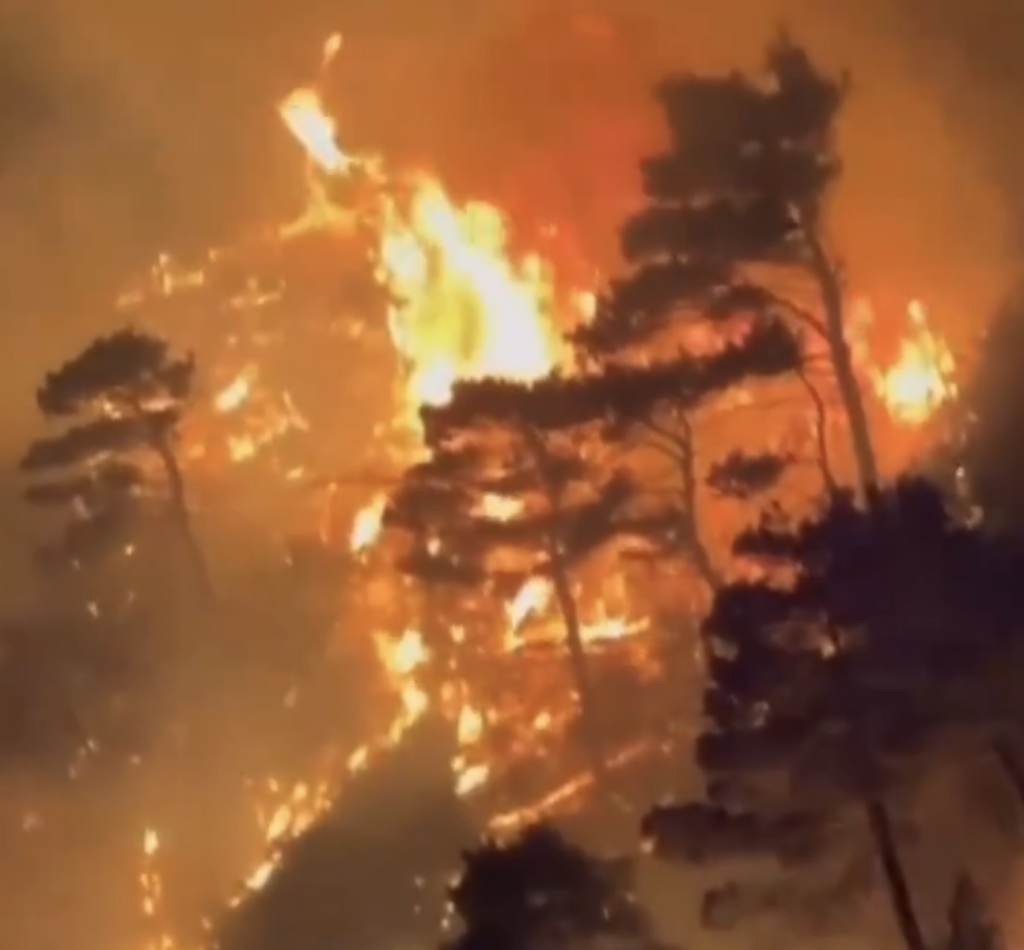 Guvernul Argentinei a declarat joi stare de urgență în patru provincii din Patagonia, în urma incendiilor de pădure care au devastat deja zeci de mii de hectare