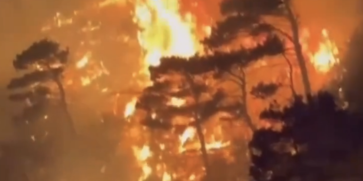 Screenshot-2024-07-10-at-22.52.14.png - StiriAlese