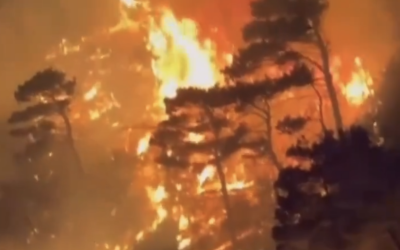 Screenshot-2024-07-10-at-22.52.14.png - StiriAlese