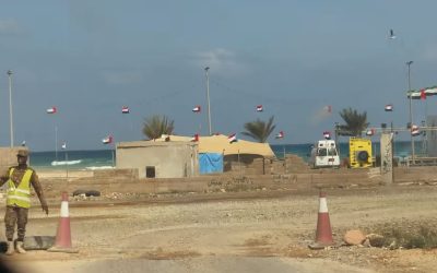 Socotra-insula-Socotra-Yemen-scaled.jpg - StiriAlese