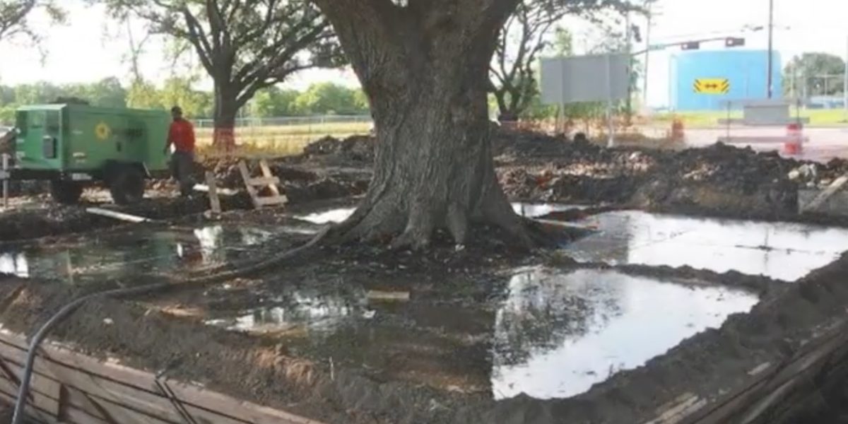 Taiat.jpg - StiriAlese