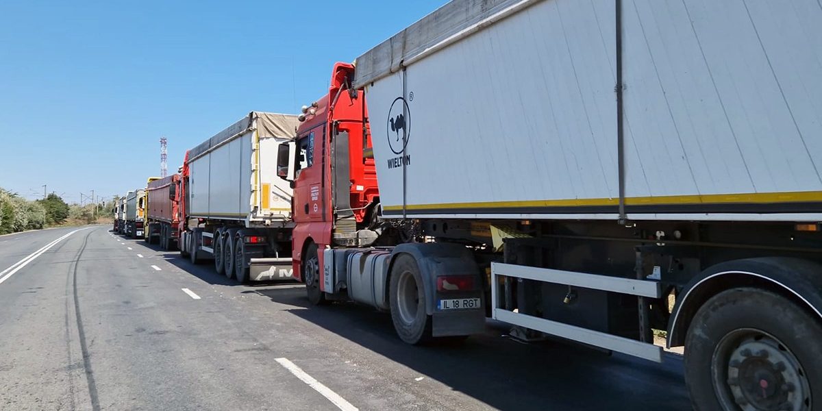 WhatsApp-Image-2023-08-03-at-19.03.16-1.jpeg - StiriAlese