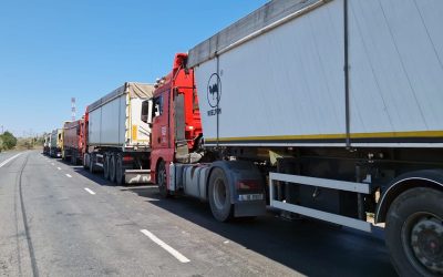 WhatsApp-Image-2023-08-03-at-19.03.16-1.jpeg - StiriAlese