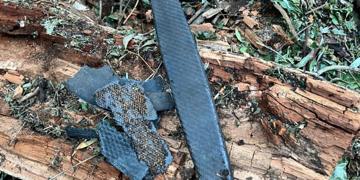 WhatsApp-Image-2024-07-24-at-20.47.44.jpeg - StiriAlese