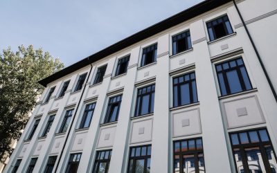 WhatsApp-Image-2024-11-05-at-14.00.17.jpeg - StiriAlese