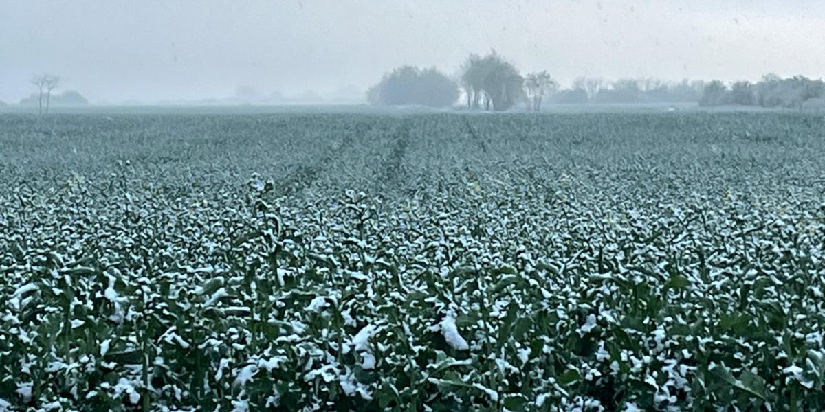 WhatsApp-Image-2025-04-07-at-19.45.18.jpeg - StiriAlese