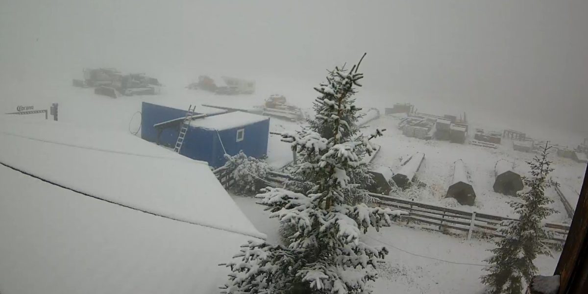 WhatsApp-Image-2025-09-29-at-10.14.41.jpeg - StiriAlese