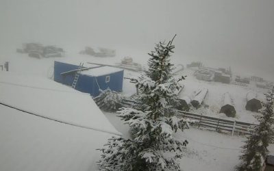 WhatsApp-Image-2025-09-29-at-10.14.41.jpeg - StiriAlese