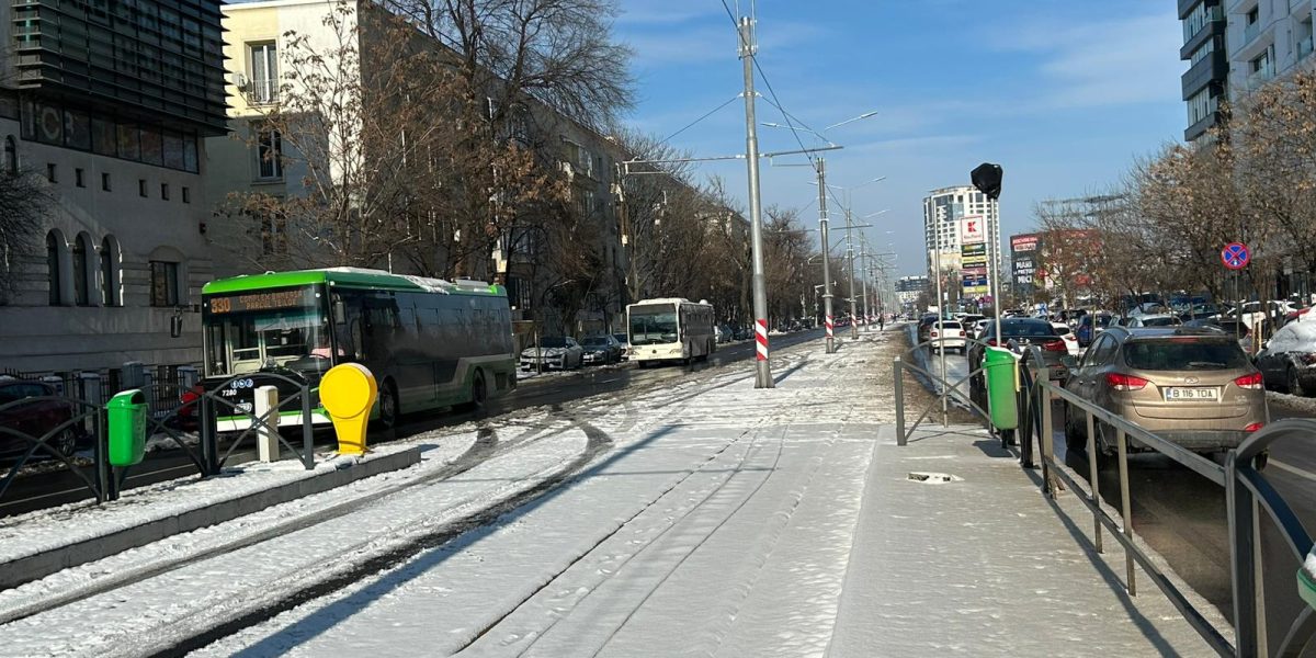 WhatsApp-Image-2026-01-12-at-14.40.31-1.jpeg - StiriAlese