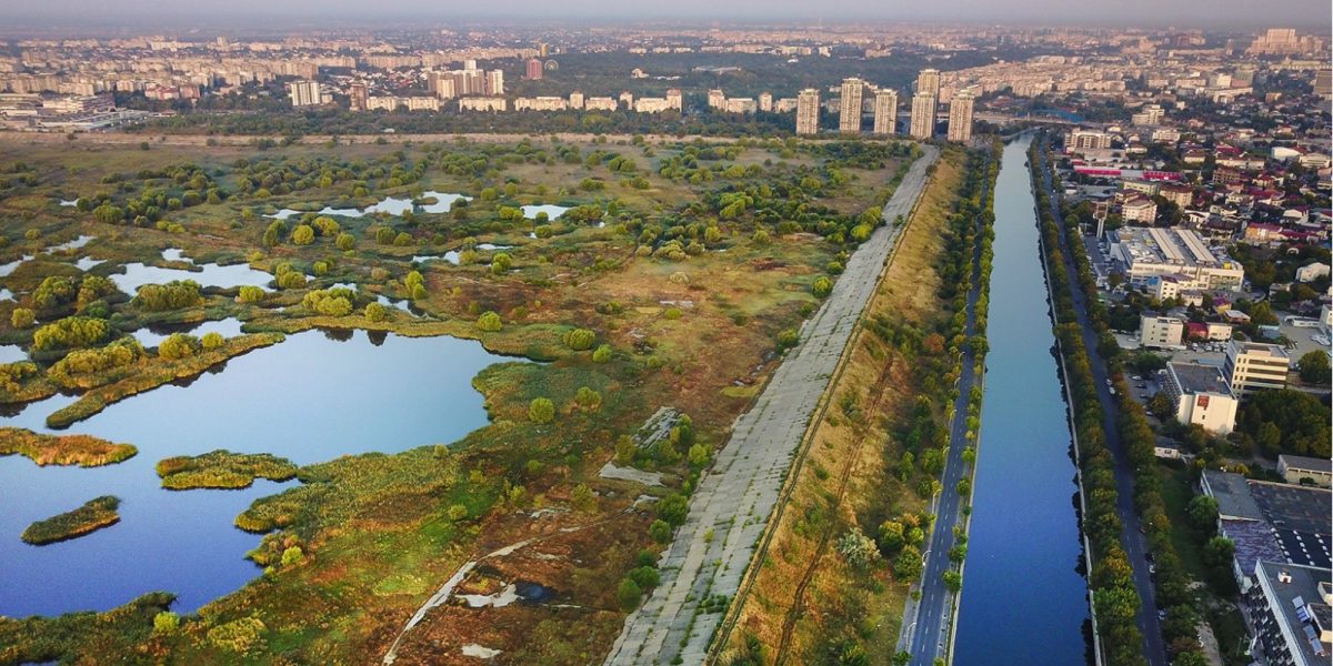 WhatsApp-Image-2026-01-15-at-18.51.51-2.jpeg - StiriAlese