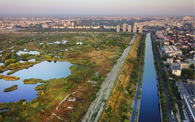 WhatsApp-Image-2026-01-15-at-18.51.51-2.jpeg - StiriAlese