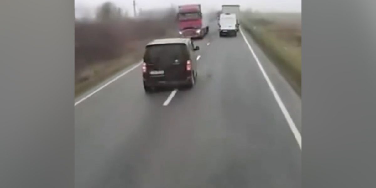 WhatsApp-Image-2026-01-27-at-16.09.19.jpeg - StiriAlese