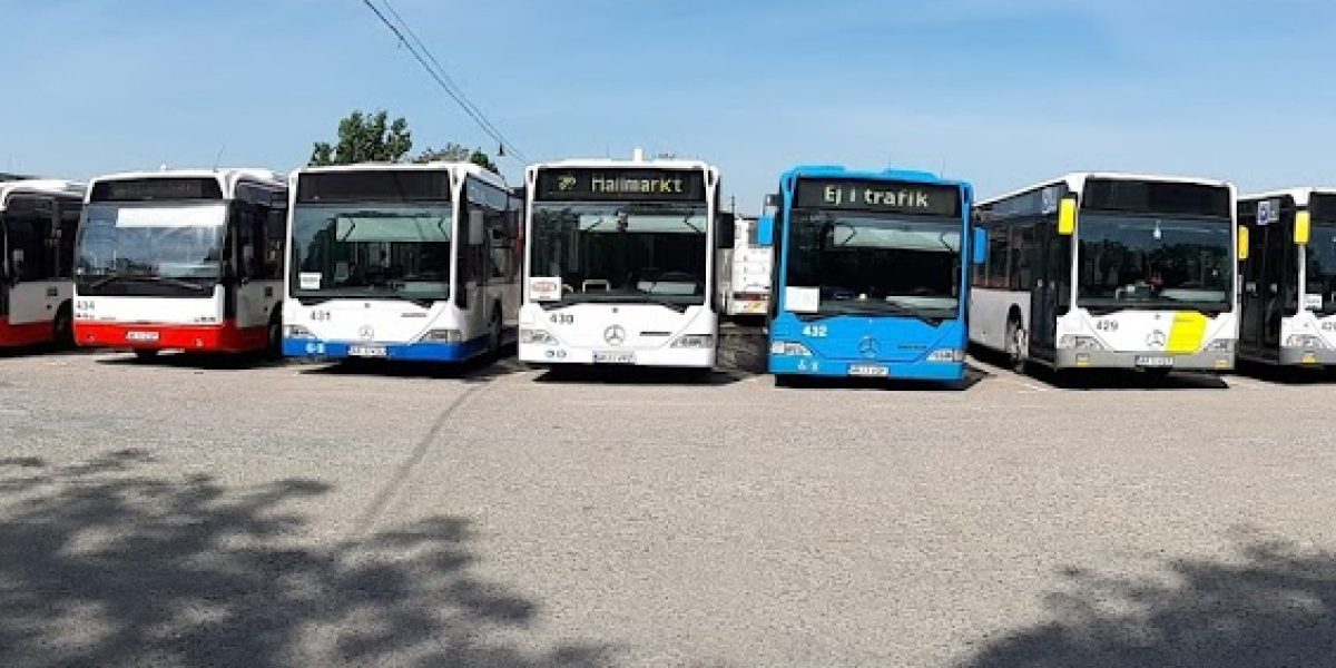 YThjNGE5YjMwZDlmM2RiZWI1NWVjOTU5ZWM5YWM.thumb_.jpg - StiriAlese