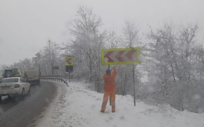 ZjUwZTA0OGU4NGE5MTNkMjkyZDZjMGY4YzNhYWUx.thumb_.jpg - StiriAlese