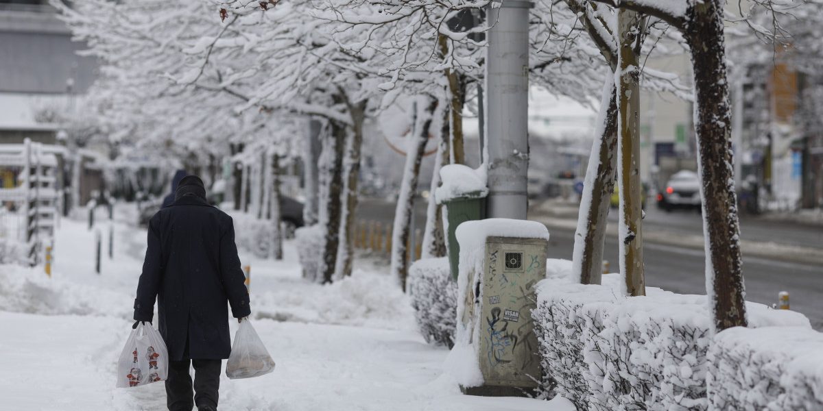 ZjVjMzU2OGU5N2VmNjRlMmFmOGQxOTIxNzMyZGM.thumb_.jpg - StiriAlese