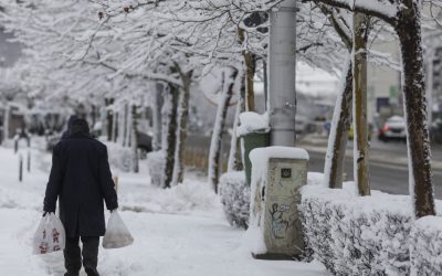 ZjVjMzU2OGU5N2VmNjRlMmFmOGQxOTIxNzMyZGM.thumb_.jpg - StiriAlese