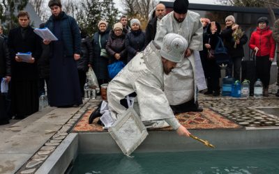 ZmEwMzk4ZTZkZmEyYzhjOWI5NzE3YjE0Y2Y.thumb_.jpg - StiriAlese