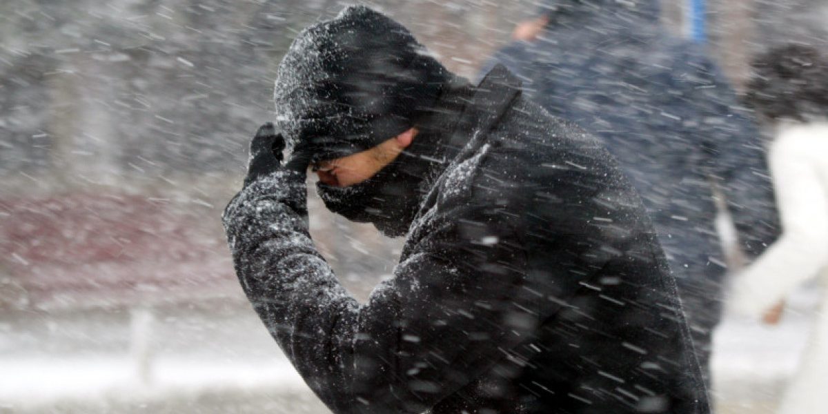 aD02MzAmemM9MSZoYXNoPTQwYzYzMjI0ODMyNmNhOWJiZjJkYzRlYmJkY2MxY2Qy.thumb_.jpg - StiriAlese