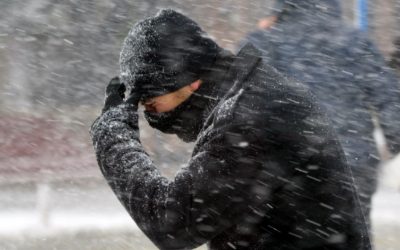 aD02MzAmemM9MSZoYXNoPTQwYzYzMjI0ODMyNmNhOWJiZjJkYzRlYmJkY2MxY2Qy.thumb_.jpg - StiriAlese