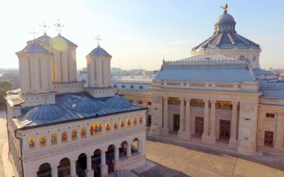 aD03ZWZhODYxOWNiYjc4NzQ0N2JmNDk4NzBmYTVjMmRjMQ.thumb_.jpg - StiriAlese