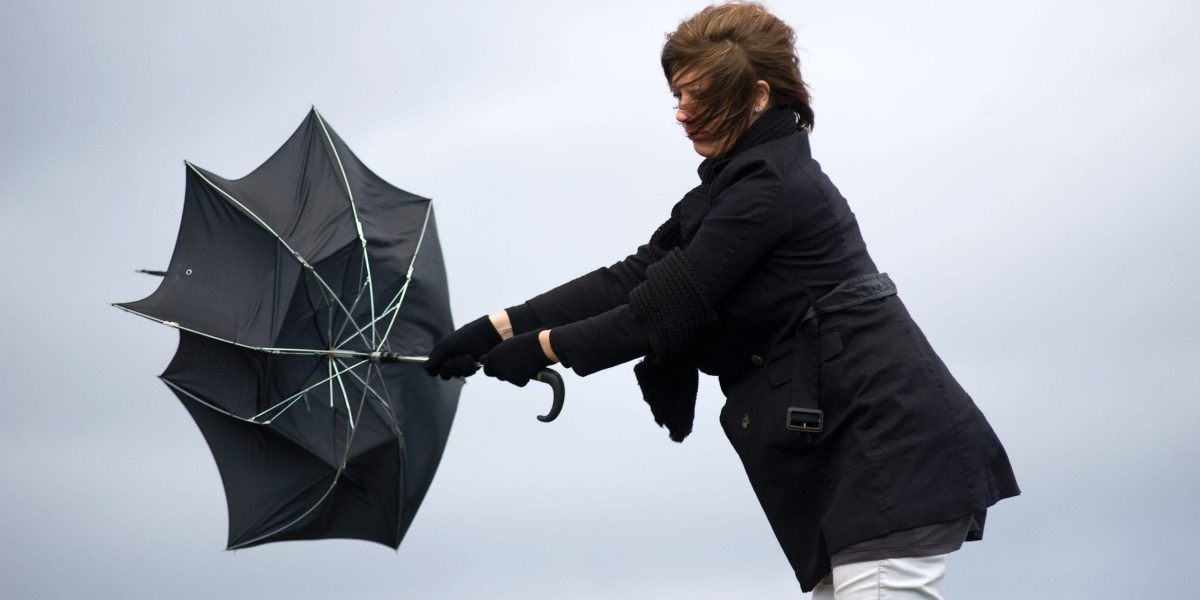 aGFzaD0zNDUyYjgxN2M5Nzk2MDIxODQ2YmEwNDc0ODYzN2MyMg.thumb_.jpg - StiriAlese