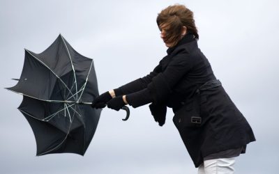 aGFzaD0zNDUyYjgxN2M5Nzk2MDIxODQ2YmEwNDc0ODYzN2MyMg.thumb_.jpg - StiriAlese