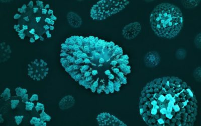 admin-ajax-5-1.jpeg - StiriAlese