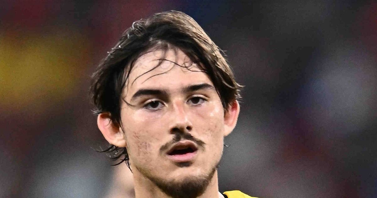 Alexi Pitu, în căutarea unei noi echipe după experiența nereușită din Danemarca Atacantul român Alexi Pitu, în vârstă de 23 de ani, își va încheia aventura la Vejle, echipă la care a ajuns în luna august a anului trecut