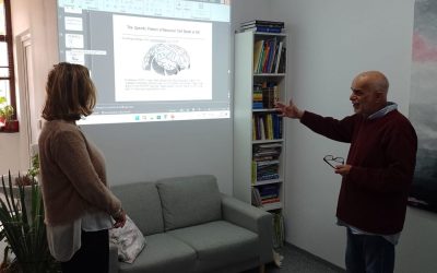 alzeimer-1-1400x875-1.jpg - StiriAlese